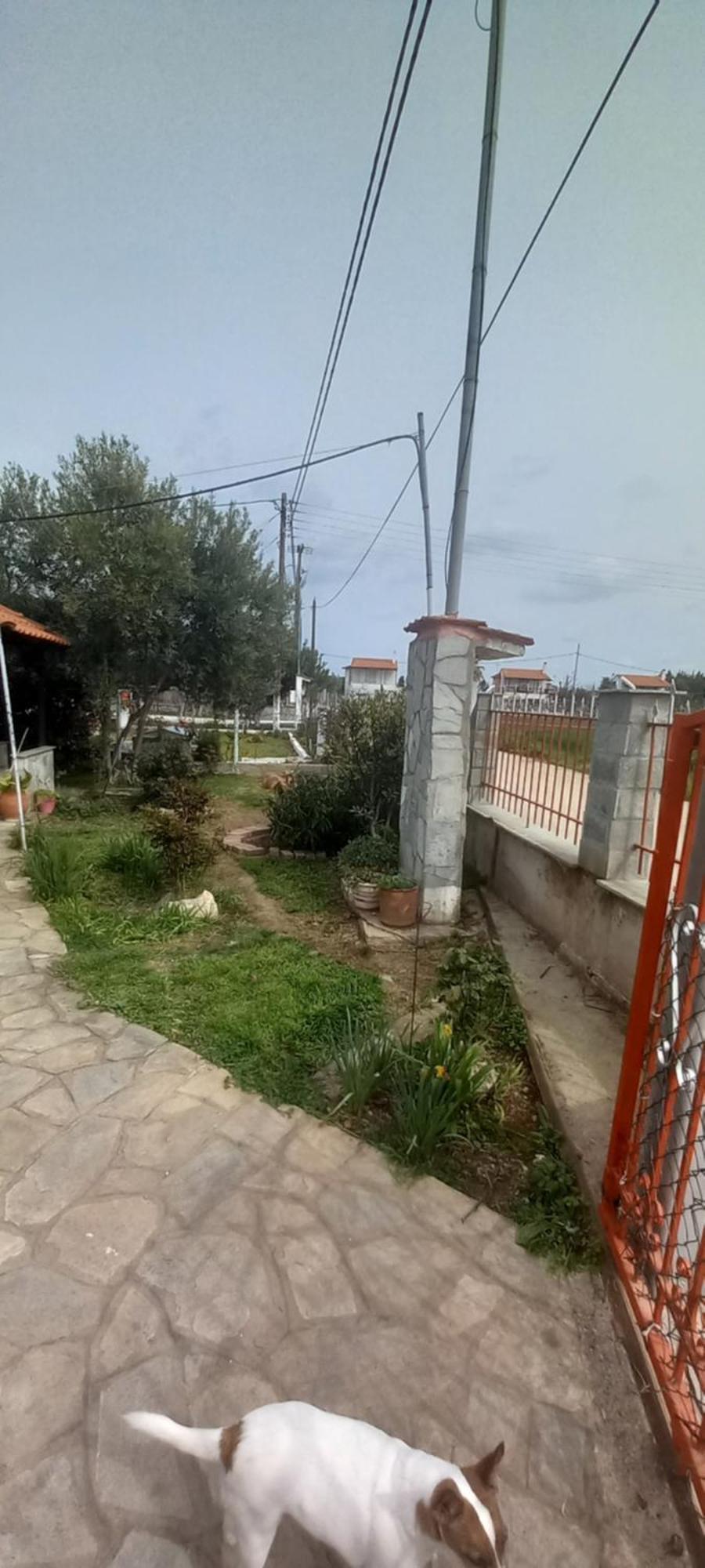 ניאה פלאגיה Villa Julia מראה חיצוני תמונה
